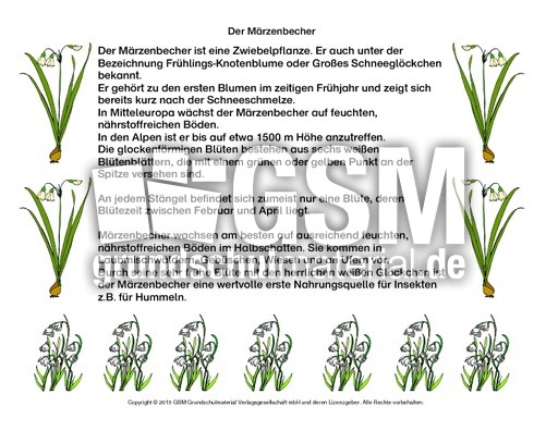 Abschreibtext-Märzenbecher.pdf